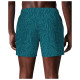 Nike Ανδρικό μαγιό Breaker 5'' Brief-Lined Volley Swim Shorts